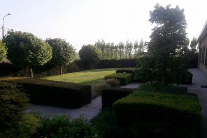 Vakantiehoeve Hill 44 - buiten