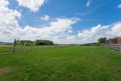Vakantiehoeve Hill 44 - buiten